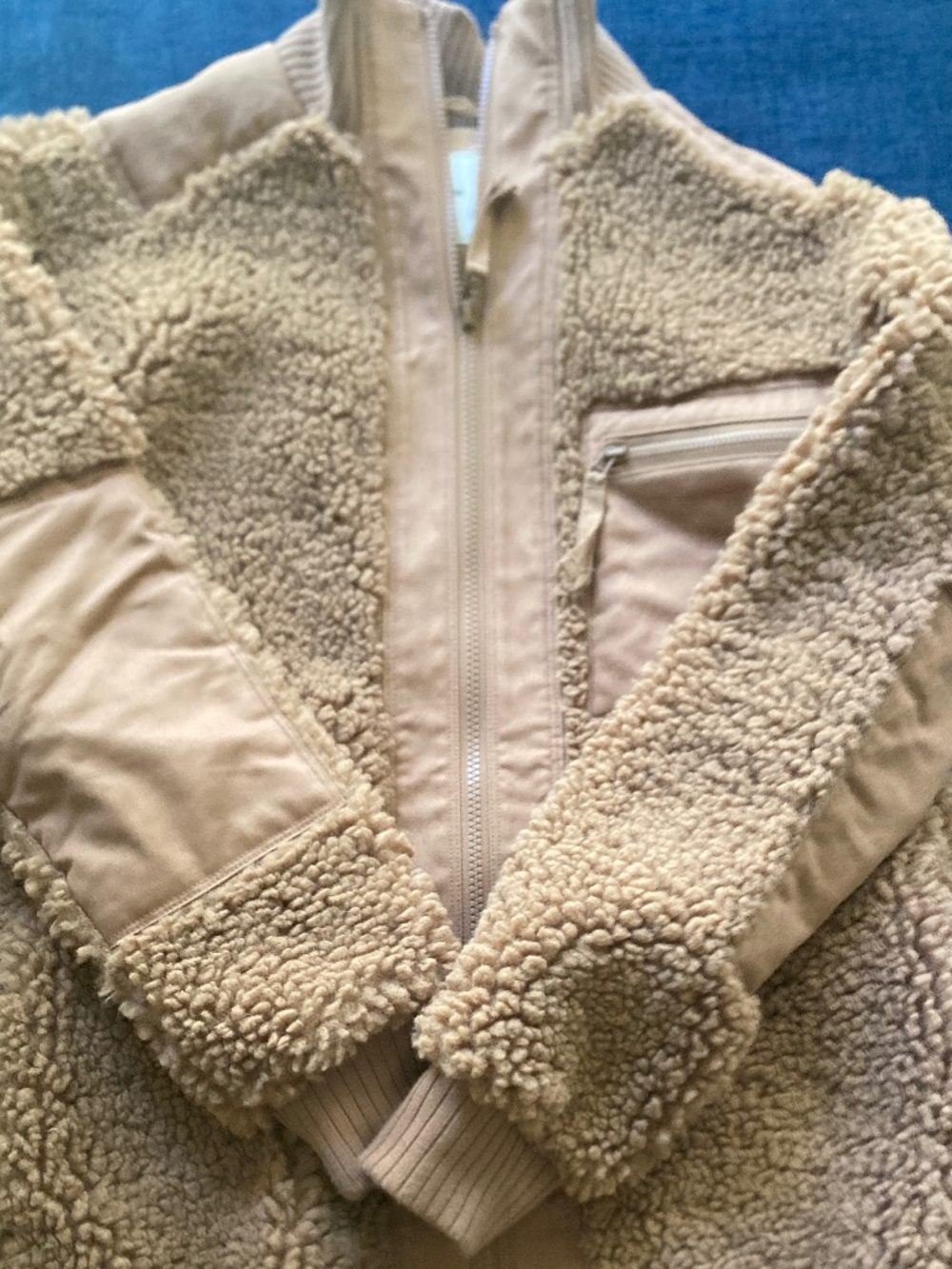 Everlane Teddy fleece coat, xxs